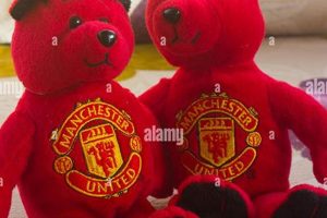 Cuddly Manchester United Teddy Bears: Official & Soft | Teddy Information – Everything You Need to Know About Teddy Bears
