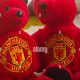 Cuddly Manchester United Teddy Bears: Official & Soft | Teddy Information – Everything You Need to Know About Teddy Bears