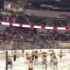 Indy Fuel Teddy Bear Toss: A Holiday Tradition | Teddy Information – Everything You Need to Know About Teddy Bears
