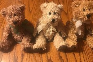 Adorable Scented Teddy Bears for Comfort | Teddy Information – Everything You Need to Know About Teddy Bears