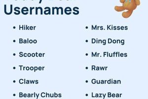Cuddly Teddy Bear Nicknames: Cute & Sweet | Teddy Information – Everything You Need to Know About Teddy Bears
