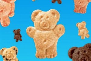 Delicious Teddy Grahams Cookies Recipes & Fun Facts | Teddy Information – Everything You Need to Know About Teddy Bears