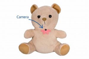 Hidden Teddy Cam: Spy Plush Toys | Teddy Information – Everything You Need to Know About Teddy Bears