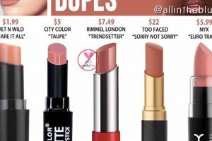 Best MAC Velvet Teddy Dupes: Top 5 Budget Finds | Teddy Information – Everything You Need to Know About Teddy Bears