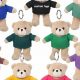 Cute Teddy Bear Plush Keychains for Sale | Teddy Information – Everything You Need to Know About Teddy Bears