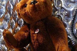 Vintage Stiefel Teddy Bears: A Collector's Guide | Teddy Information – Everything You Need to Know About Teddy Bears