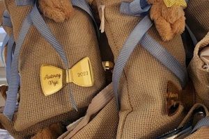 Cute Teddy Bear Gift Bags for Special Occasions | Teddy Information – Everything You Need to Know About Teddy Bears