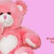 Cute Pink Teddy Bear Wallpaper Designs & Ideas | Teddy Information – Everything You Need to Know About Teddy Bears