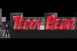 Get Promo Codes for Custom Teddy Bear Portraits Today! | Teddy Information – Everything You Need to Know About Teddy Bears