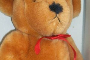 The Ideal Teddy Bear: A Plush Guide | Teddy Information – Everything You Need to Know About Teddy Bears