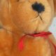 The Ideal Teddy Bear: A Plush Guide | Teddy Information – Everything You Need to Know About Teddy Bears