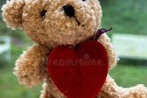 Cuddly Lovely Teddy Bears: Soft & Huggable | Teddy Information – Everything You Need to Know About Teddy Bears