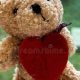 Cuddly Lovely Teddy Bears: Soft & Huggable | Teddy Information – Everything You Need to Know About Teddy Bears