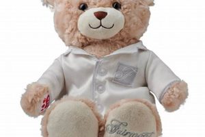 Cozy PJ Teddy Bears for Sweet Dreams | Teddy Information – Everything You Need to Know About Teddy Bears