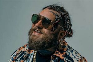 Learn to Swim with Teddy in Tulsa | Lessons & More | Teddy Information – Everything You Need to Know About Teddy Bears