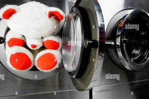 Best Teddy Bear Laundromat: Gentle Plush Cleaning Teddy Information – Everything You Need to Know About Teddy Bears Best Teddy Bear Laundromat: Gentle Plush Cleaning | Teddy Information – Everything You Need to Know About Teddy Bears