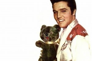 Elvis's Teddy Bear: A Musical Love Story Teddy Information – Everything You Need to Know About Teddy Bears Elvis's Teddy Bear: A Musical Love Story | Teddy Information – Everything You Need to Know About Teddy Bears