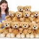 My Personal Teddy Bear: A Cuddly Friend | Teddy Information – Everything You Need to Know About Teddy Bears