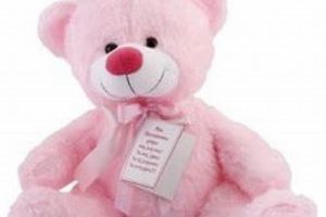 Adorable Princess Teddy Bears: Shop Now Teddy Information – Everything You Need to Know About Teddy Bears Adorable Princess Teddy Bears: Shop Now | Teddy Information – Everything You Need to Know About Teddy Bears
