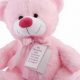 Adorable Princess Teddy Bears: Shop Now | Teddy Information – Everything You Need to Know About Teddy Bears