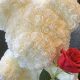 Adorable Teddy Flowers: Gifts & Decor | Teddy Information – Everything You Need to Know About Teddy Bears
