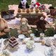 Host a Plush Teddy Bear Tea Party Today! | Teddy Information – Everything You Need to Know About Teddy Bears