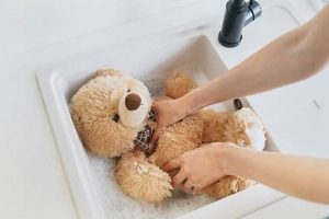 How to Wash a Teddy Bear: Easy Cleaning Guide Teddy Information – Everything You Need to Know About Teddy Bears How to Wash a Teddy Bear: Easy Cleaning Guide | Teddy Information – Everything You Need to Know About Teddy Bears