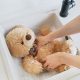 How to Wash a Teddy Bear: Easy Cleaning Guide | Teddy Information – Everything You Need to Know About Teddy Bears