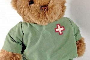 Cuddly Doctor Teddy Bears: Comforting Kids | Teddy Information – Everything You Need to Know About Teddy Bears