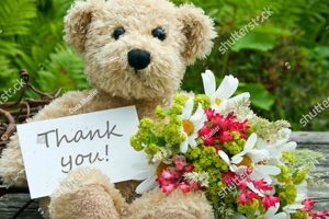 Saying Thanks for the Cuddly Teddy Bear Gift Teddy Information – Everything You Need to Know About Teddy Bears Saying Thanks for the Cuddly Teddy Bear Gift | Teddy Information – Everything You Need to Know About Teddy Bears