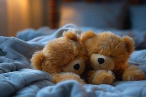 Best Sleep Teddy Bears for Better Sleep | Plush Teddys | Teddy Information – Everything You Need to Know About Teddy Bears