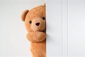 My Teddy, Close the Door: A Child's Play | Teddy Information – Everything You Need to Know About Teddy Bears