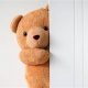 My Teddy, Close the Door: A Child's Play | Teddy Information – Everything You Need to Know About Teddy Bears