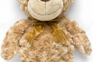Cuddly Standing Teddy Bears: Best Plush Toys | Teddy Information – Everything You Need to Know About Teddy Bears