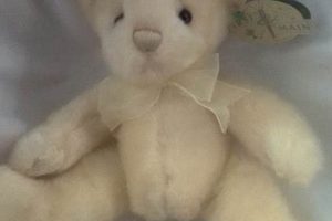 My First & Main Teddy Bear: A Lifelong Friend | Teddy Information – Everything You Need to Know About Teddy Bears