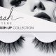 Get The Teddy Kiss Lashes Look: Fluffy & Natural | Teddy Information – Everything You Need to Know About Teddy Bears