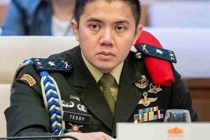 Meet Teddy Indra Wijaya: Artist & Innovator | Teddy Information – Everything You Need to Know About Teddy Bears