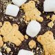 Easy Teddy Graham S'mores Recipes & Ideas | Teddy Information – Everything You Need to Know About Teddy Bears