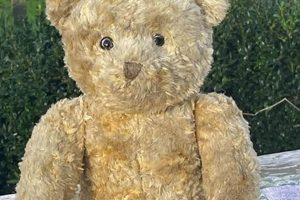Collecting Rare 1960s Teddy Bears: A Guide Teddy Information – Everything You Need to Know About Teddy Bears Collecting Rare 1960s Teddy Bears: A Guide | Teddy Information – Everything You Need to Know About Teddy Bears