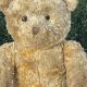 Collecting Rare 1960s Teddy Bears: A Guide | Teddy Information – Everything You Need to Know About Teddy Bears