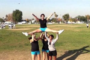 Adorable Teddy Bear Stunts: Going Viral | Teddy Information – Everything You Need to Know About Teddy Bears