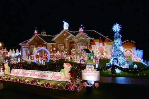 The Best Teddy Bear House in St. Louis Teddy Information – Everything You Need to Know About Teddy Bears The Best Teddy Bear House in St. Louis | Teddy Information – Everything You Need to Know About Teddy Bears