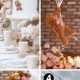 Cute Teddy Bear Baby Shower Ideas & Decor | Teddy Information – Everything You Need to Know About Teddy Bears