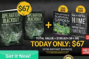 Teddy Daniels: Operation Blackout Declassified | Teddy Information – Everything You Need to Know About Teddy Bears