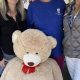 Gresham Teddy Bear Parade: A Holiday Tradition | Teddy Information – Everything You Need to Know About Teddy Bears
