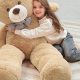 The Ultimate Guide to Teddy Bear Humans | Teddy Information – Everything You Need to Know About Teddy Bears