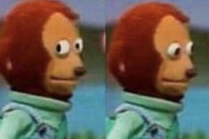 Authentic Side Eye Teddy Bear Plush Toys | Teddy Information – Everything You Need to Know About Teddy Bears