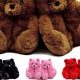 Cozy Teddy Bear House Shoes for Adults & Kids | Teddy Information – Everything You Need to Know About Teddy Bears