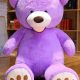 Largest Teddy Bear For Sale | Teddy Information – Everything You Need to Know About Teddy Bears