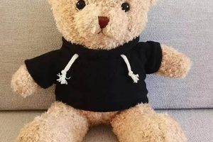 Cozy Teddy Bear Hoodie for Adults & Kids | Teddy Information – Everything You Need to Know About Teddy Bears